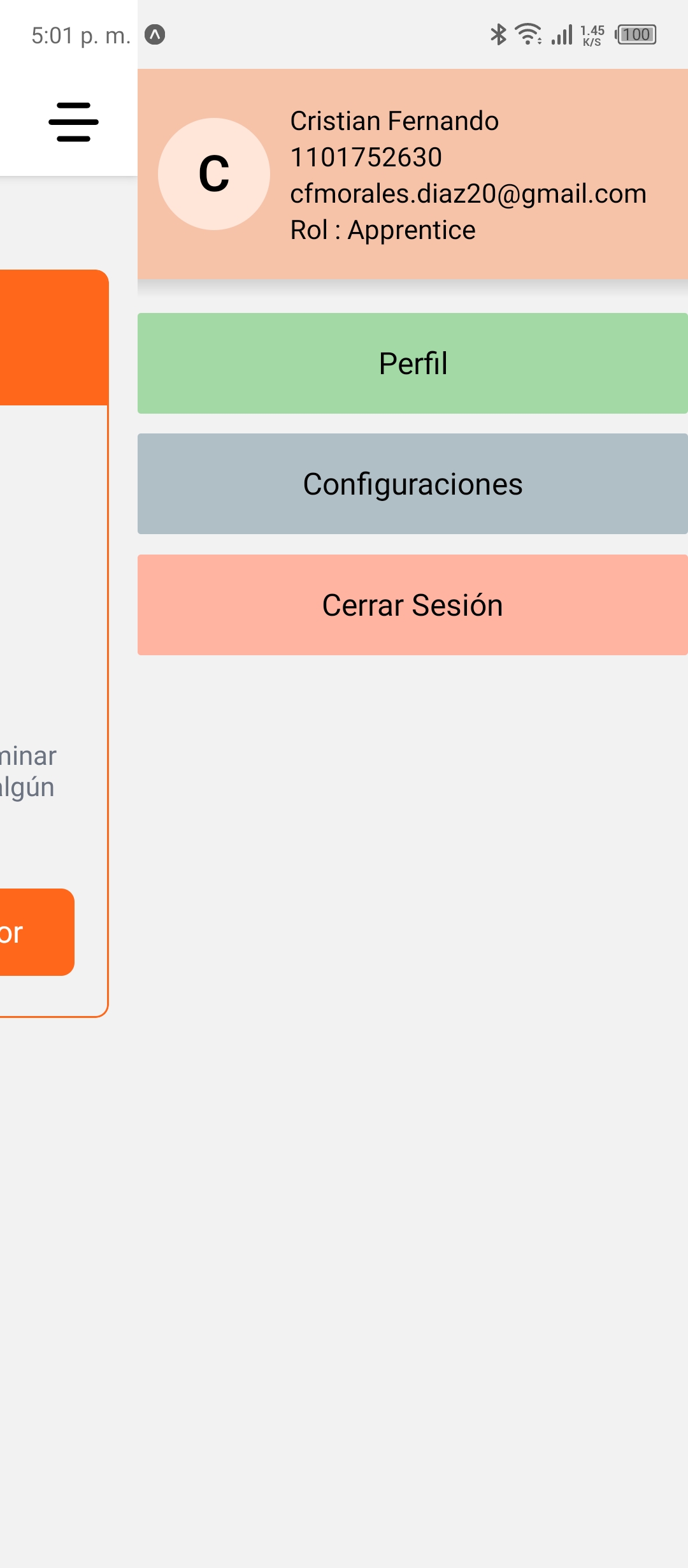 Imagen donde se muestra el projecto en funcionamiento